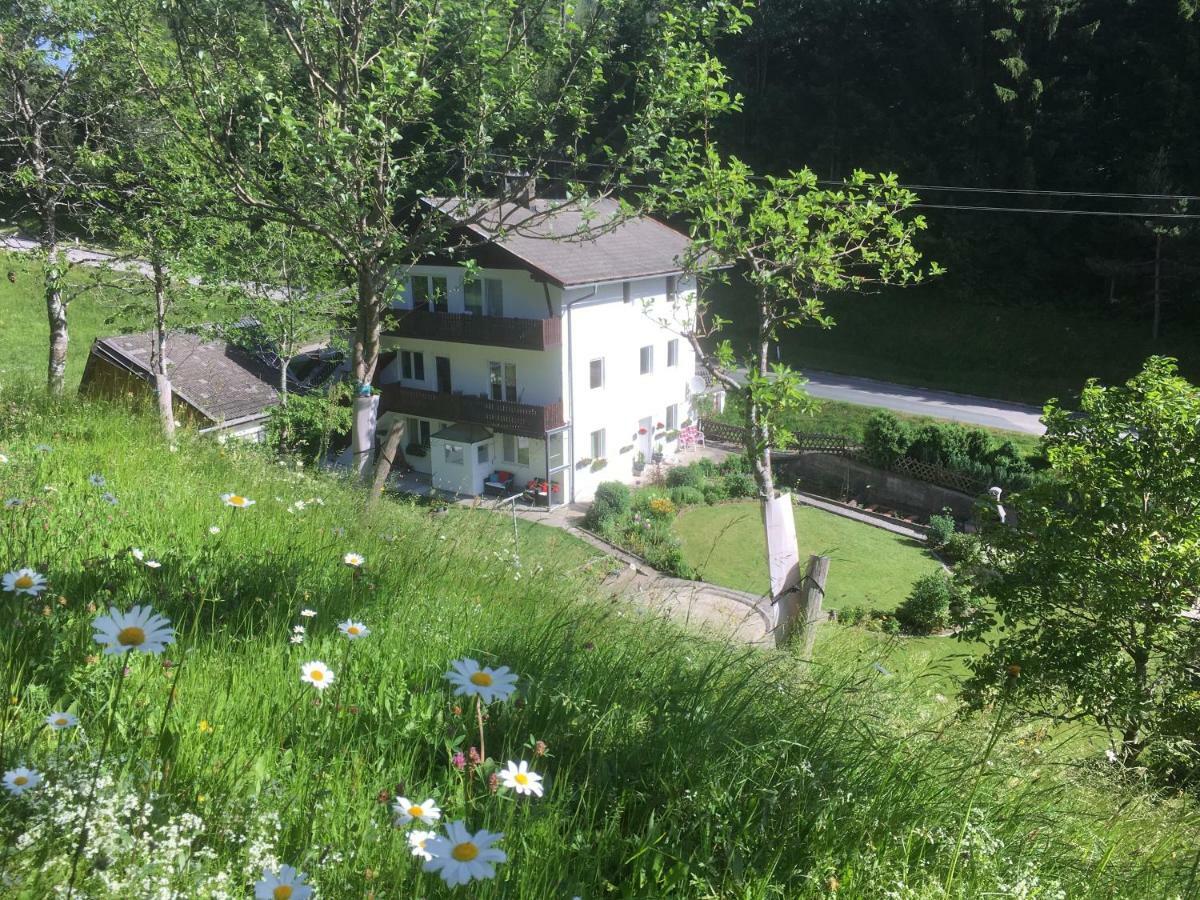 Ginnys Place Kotschach-Mauthen Exterior photo